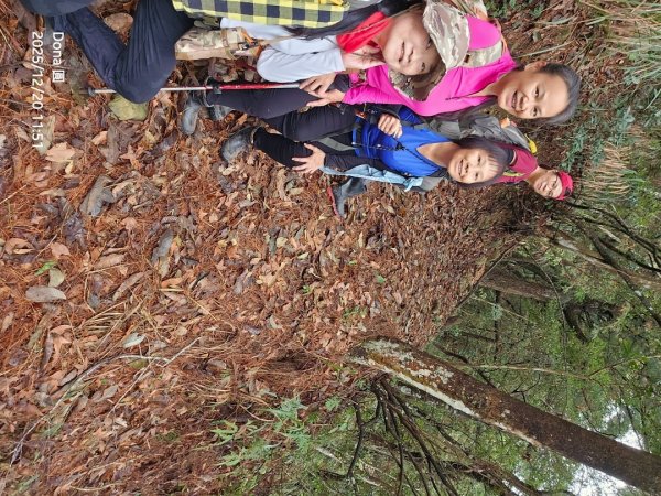 20251220上谷關山縱走四連峰2974340