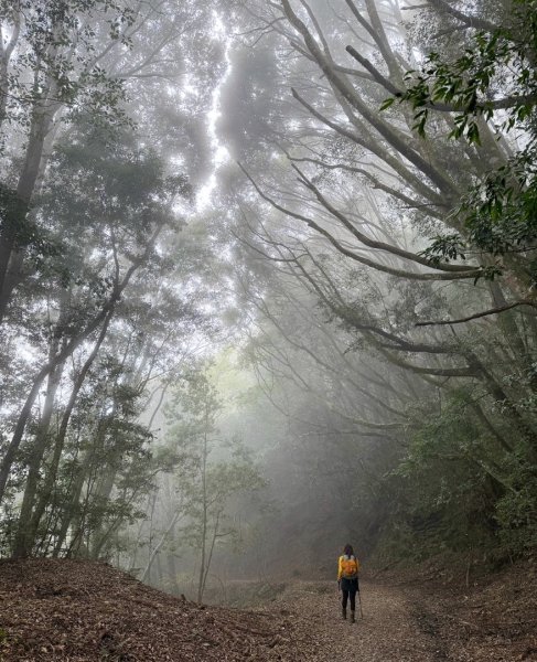 雪霸國家公園 雪見遊憩區 東洗水山2928585