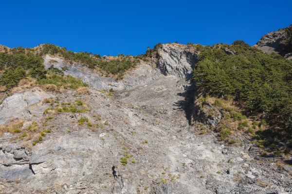 [百岳]南橫三星與關山2025757