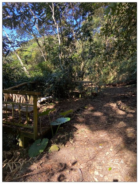 頭社山主峰及基點峰(社頭山)2681585