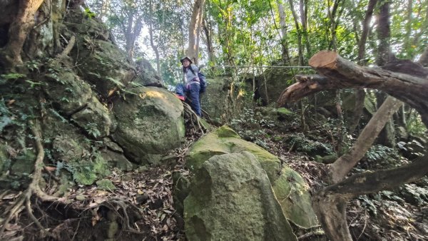 雙石大O繞縱走1150222 年初六3004536