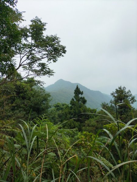 新店桂山路197巷-產業道路-幽靜山路-潺潺小溪-幽靜山路-原路折返2321888