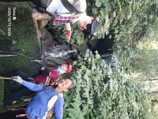 復興三尖老么之那結山1520m(嘎色鬧上)全紀錄2915491