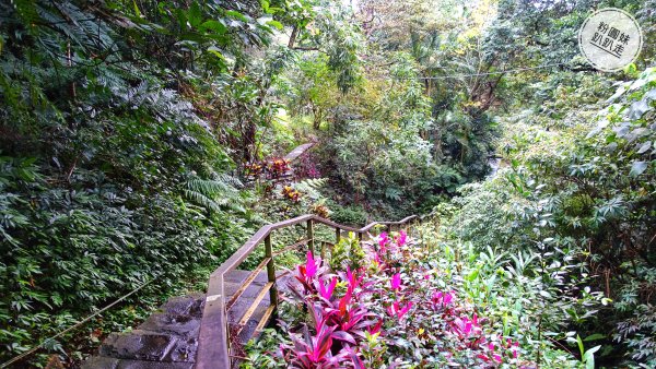 【台北大縱走】捷運麟光站~泰和公園544031