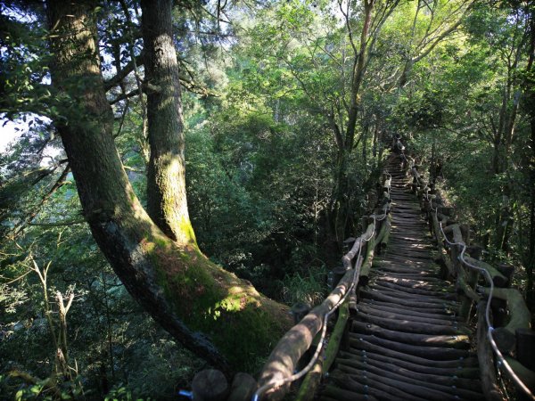 大坑四號登山步道422055