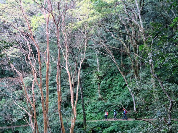 東眼山 拉卡山 卡外山 O形環走1630309