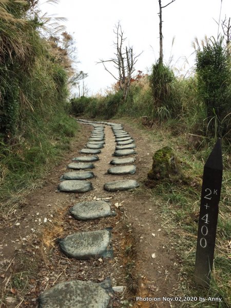 無雨無霧的宜蘭山毛櫸步道1157124