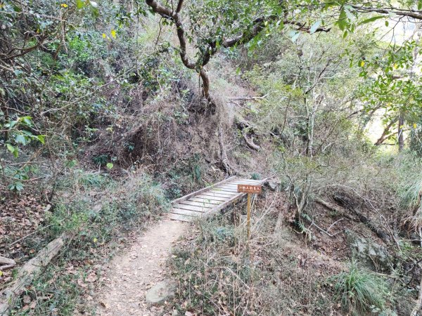 小百岳No.80⛰里龍山2776329
