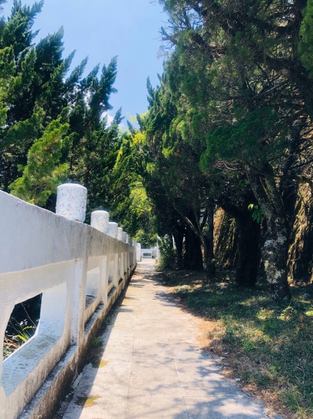 1090413中之關天池-初嚐梅子雞940957