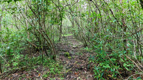 石古井,青林山,畝畝山,平溪子山2854681