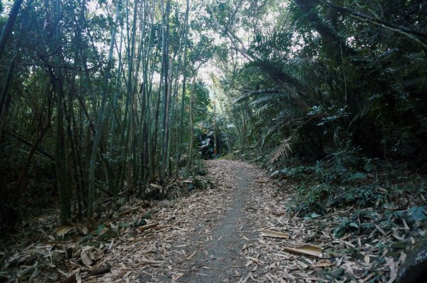 三腳南山登山步道2009913