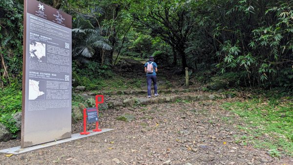 金字碑古道,大粗坑步道2518865