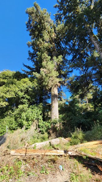 111/10/2合歡北峰下天巒池、武法奈尾山出東營將軍廟1873225