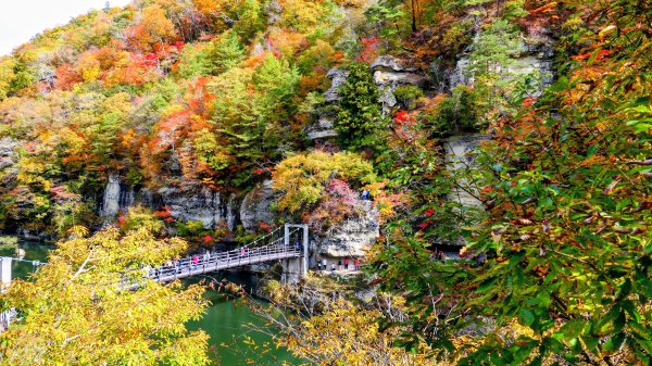 福島縣塔之斷崖2930280