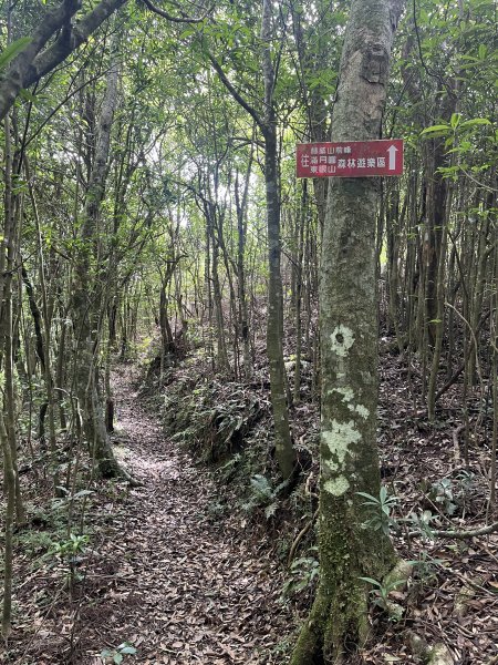 2025_0601 北插天山2802326