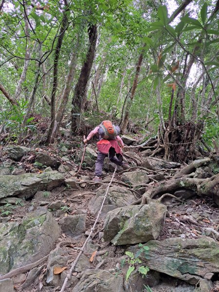 砂卡礑二日行D2：大同部落→千里眼山→砂卡礑步道→小錐麓步道→遊客中心202312032368722