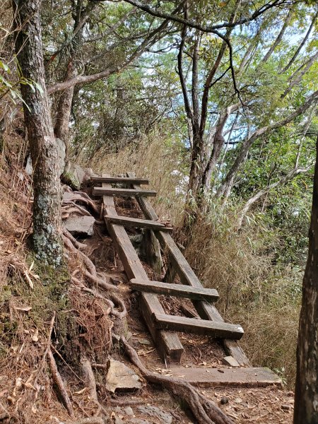 新山馬崙山八壯士登山口1162008