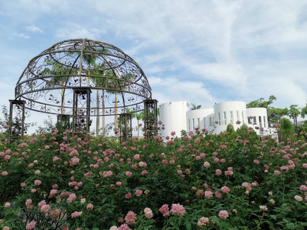 【新聞】一日四景 新生公園上演夏季百花宴