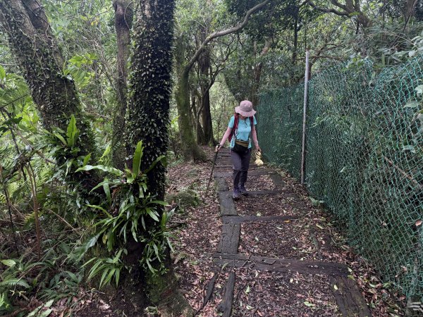 獅仔頭山 2025.07.202864260