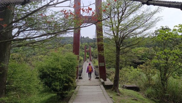 (姨婆趴趴走)第五十一集:台北冷擎步道、金包里大路(魚路古道)2757232