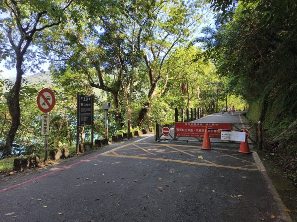 [漫遊縱谷 愛在花東-07/10] 2025_1012 花蓮鯉魚山步道群2913415