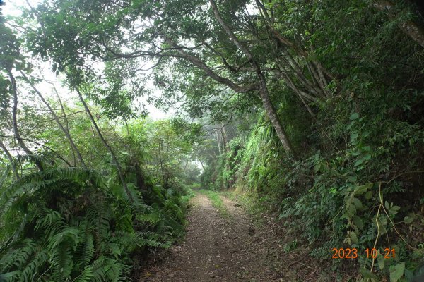 南投 烏來山、南阿冷山、中阿冷山、阿冷山東南峰2325525