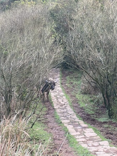台北 士林 風櫃嘴3010305