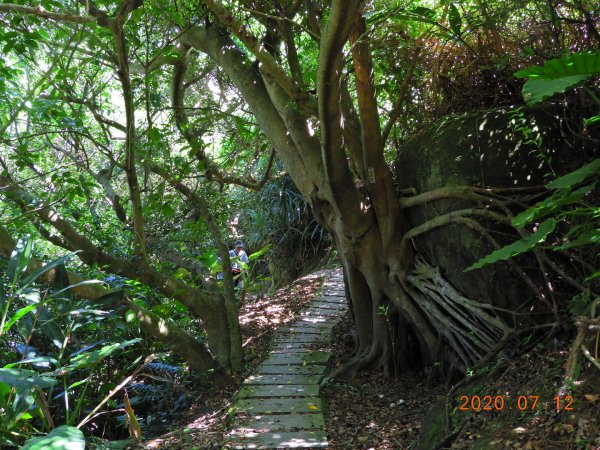 新北 金山 金包里山、磺港山1030422