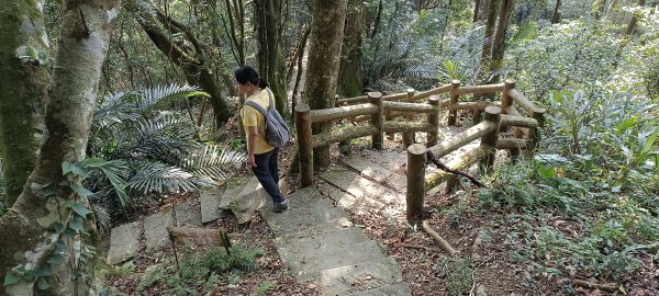 2024/05/10-仙山登山步道2502676