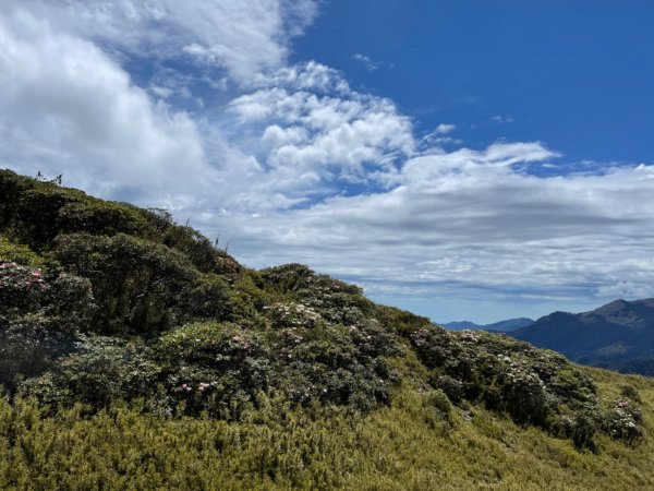 天梯的試煉·大劍山、油婆蘭1713456