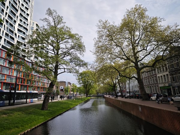 2025_0420 倫敦馬拉松順遊西歐 D2e(鹿特丹)2786206