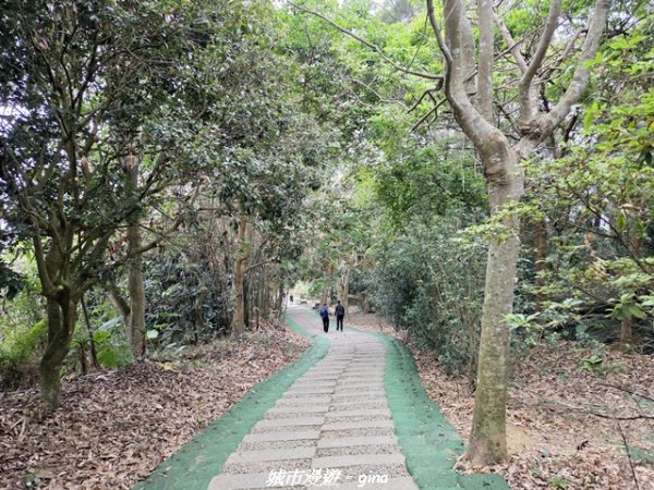 【台中太平】小百岳三汀山3027105