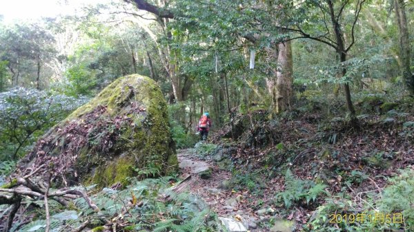 小百岳行~加里山(#34)，苗栗縣山500994