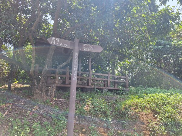 太平車籠山+貓頭鷹步道+番子路山+豬槽山202605023045777