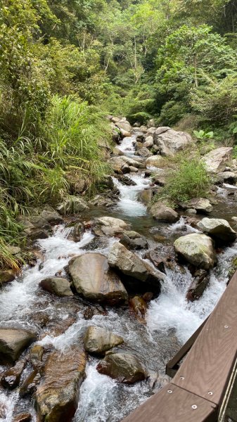 唐麻丹山加蝴蝶谷一日遊1851569