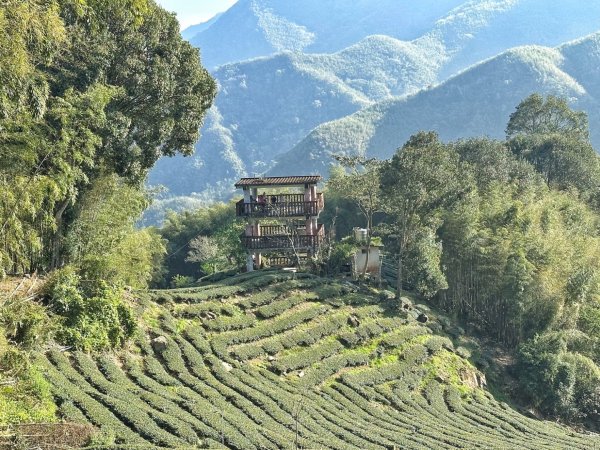 溪頭六連峰O繞2741728