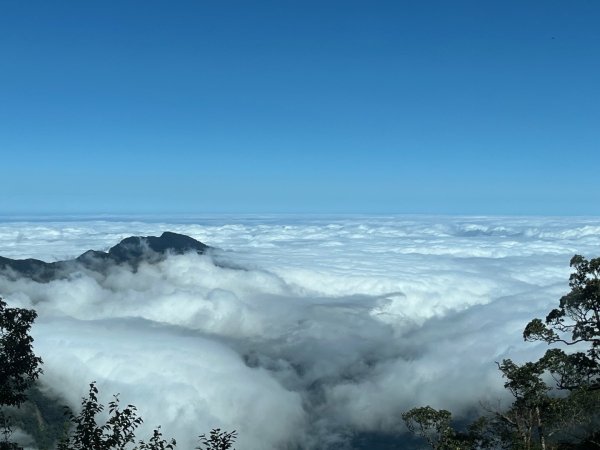 20241010_觀霧森林遊樂園區2855679