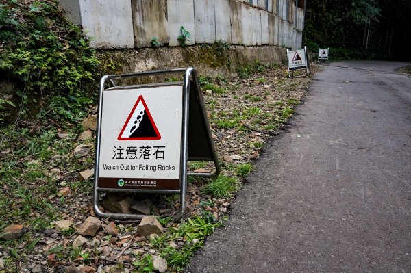 滿月圓森林步道2870078