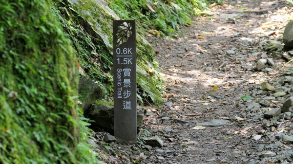 福山部落,內洞森遊區2552414