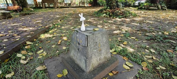 獅潭觀魚步道+潭老街-2026/03/293026430