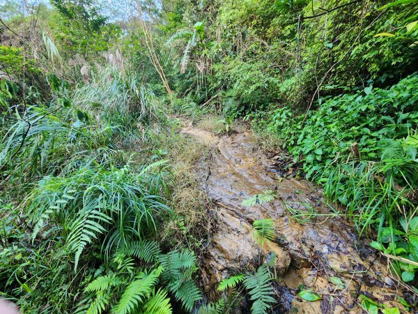 20241201侯硐復興煤礦三貂嶺山大小粗坑O型2681272