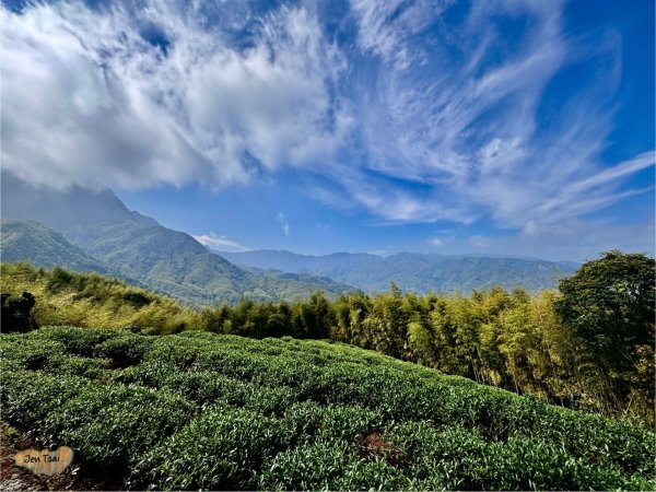 鳳凰谷步道走凍頂麒麟山2770430