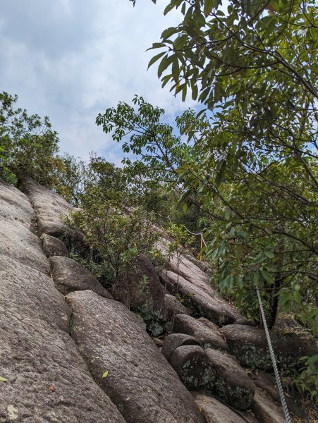 2024-03-31 金面山親山步道、剪刀石、象山親山步道2793318