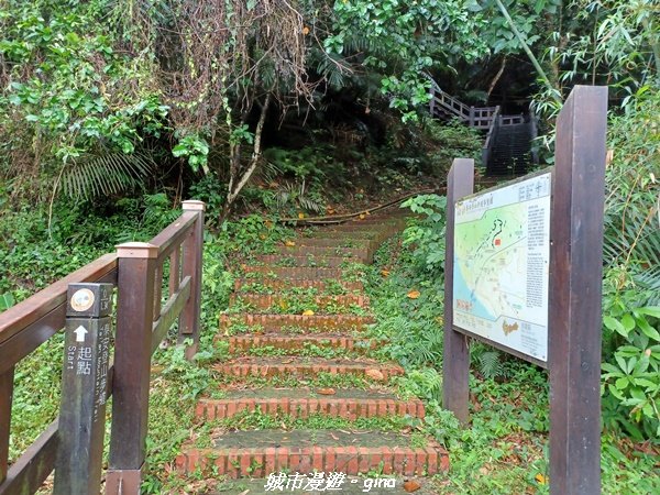 【台中后里】蓊鬱林間。 后里泰安登山步道1728743