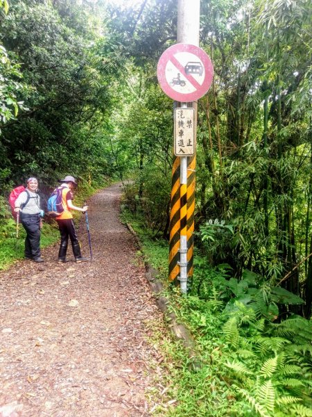 步道巡訪員 l 跑馬古道 第5巡 管理標誌948311