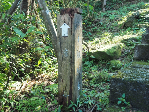 健行日 - 大粗坑古道、小粗坑古道83465