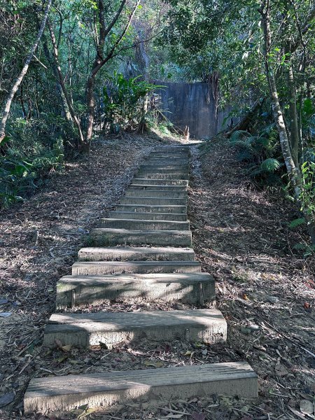 和美山螢火蟲段2873335