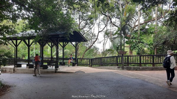 《新竹》城市微旅｜十八尖山+香山濕地賞蟹步道202511012928400