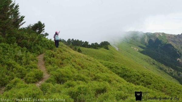 南合歡山。合歡南峰步道。台灣目前發現最高的省府圖根補點。合歡山最輕鬆步道