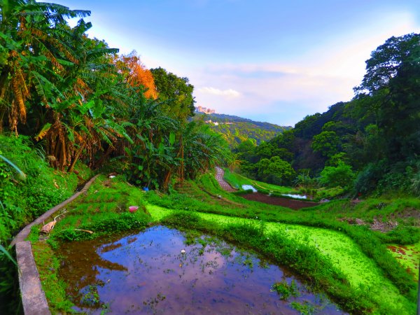 【台北北投】走十八份水圳步道 賞觀音山夕照1743563